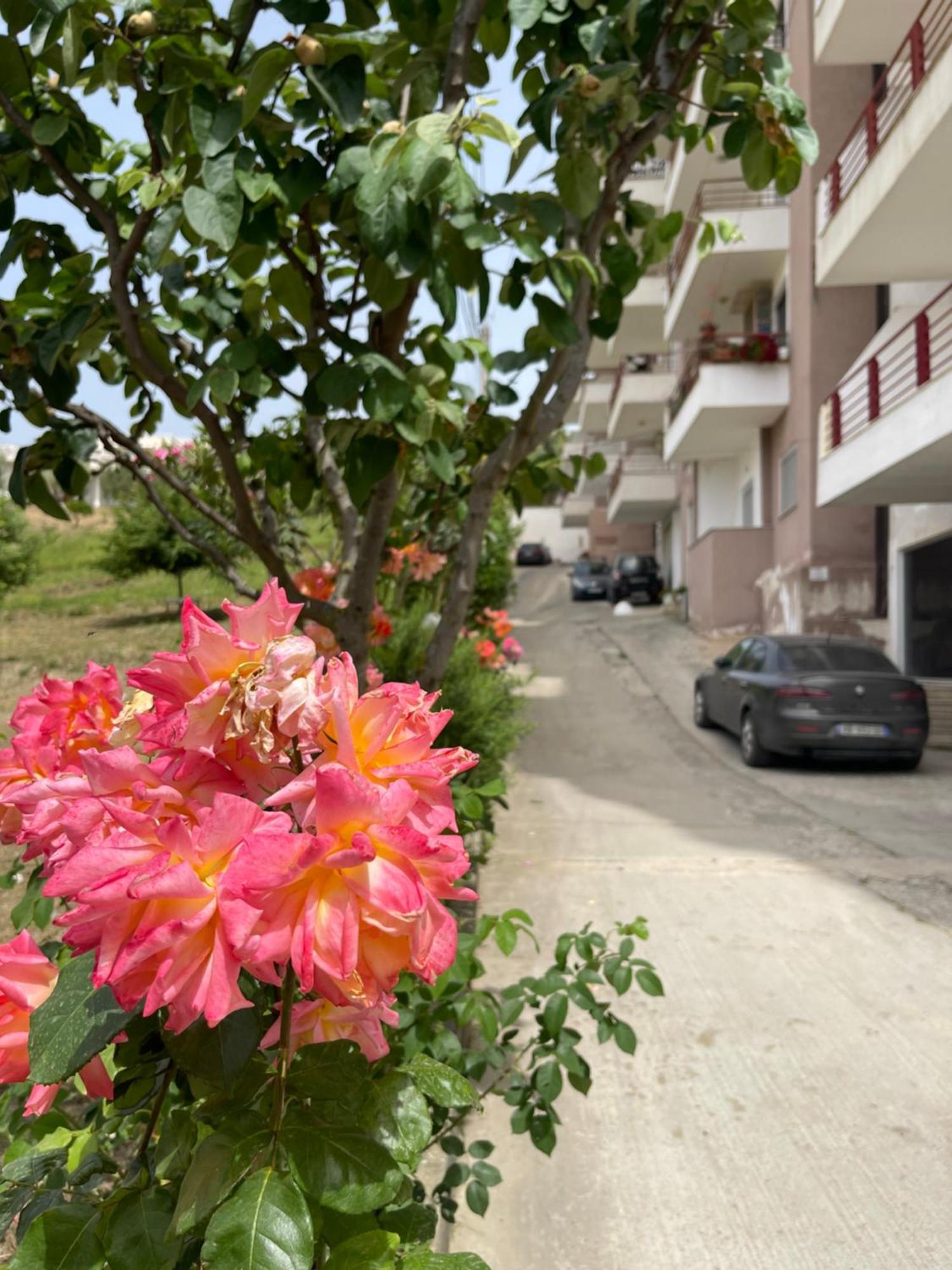 Beach Apartments Durrës Exteriér fotografie